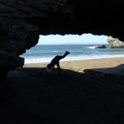 ArchRock 117 : ArchRock